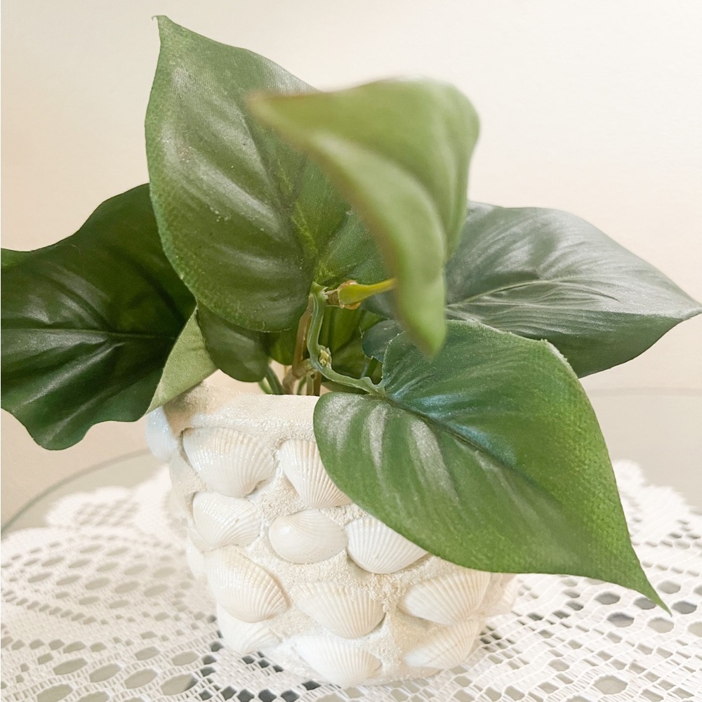 Small Seashell Flower Pot